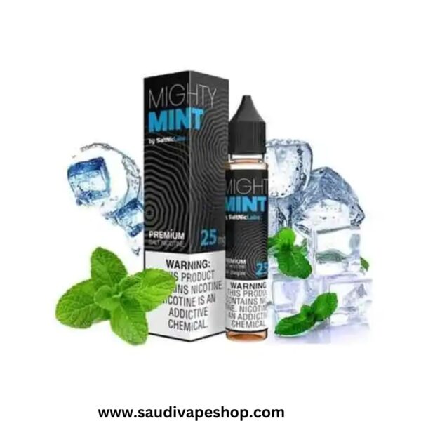 Vgod Mint SaltNic 30mL